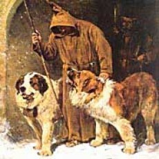 Saint Bernard of Montjoux