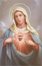 Feast of the Immaculate Heart of the Blessed Virgin Mary